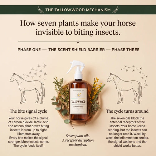 Horse Spray