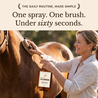 One spray. One brush. Under sixty seconds.
