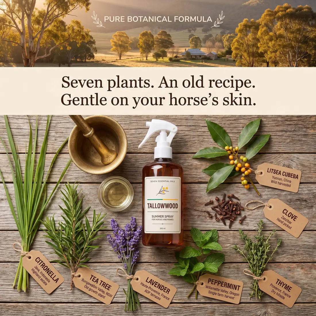 Seven plants, an old recipe, gentle on the skin